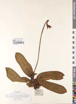 LE 01074879