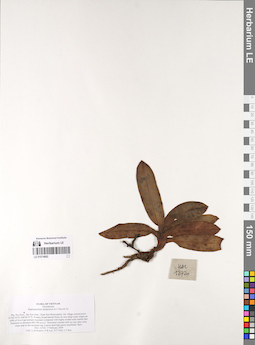 LE 01074882