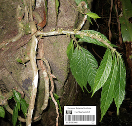 LE 01093068