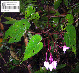 LE 01093070