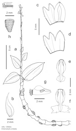 LE 01088141