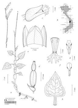 LE 01088142