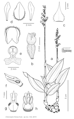 LE 01088143