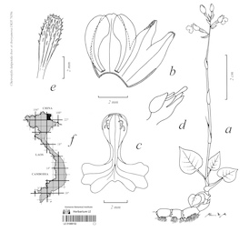 LE 01088152