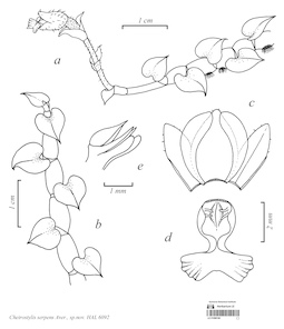 LE 01088160