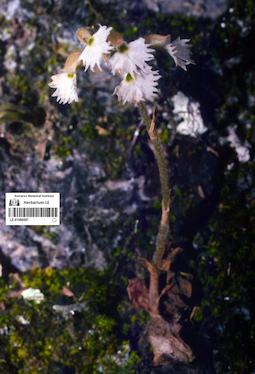 LE 01088097