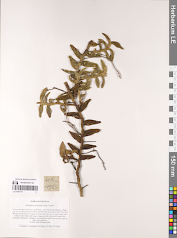 LE 01067197