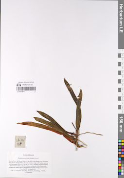 LE 01074974