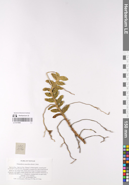 LE 01074996