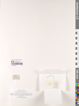 LE 01075026