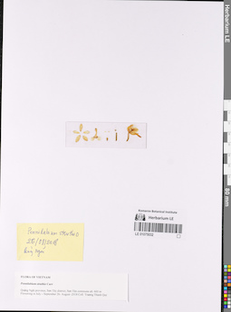 LE 01075032