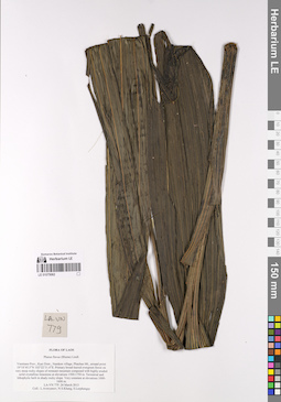 LE 01075062