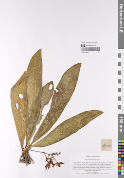 LE 01074628