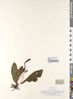 LE 01074636