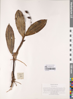 LE 01075127