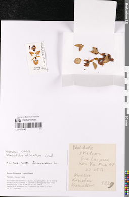 LE 01075142