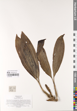 LE 01075152