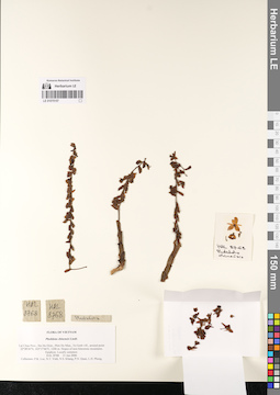 LE 01075157