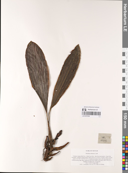 LE 01075158
