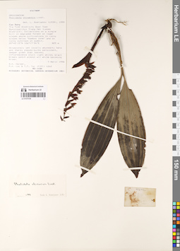 LE 01075159