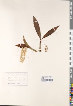 LE 01075172