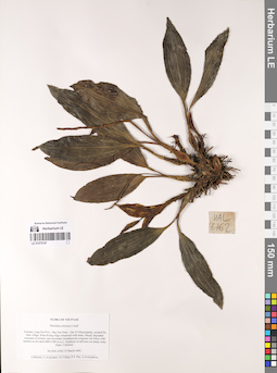 LE 01075197