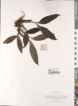 LE 01075198