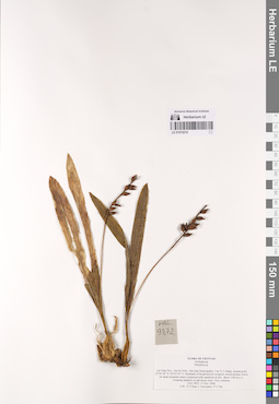 LE 01075219
