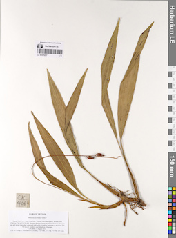 LE 01075257