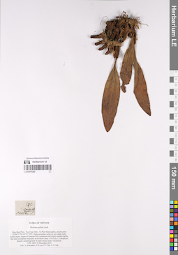 LE 01075282