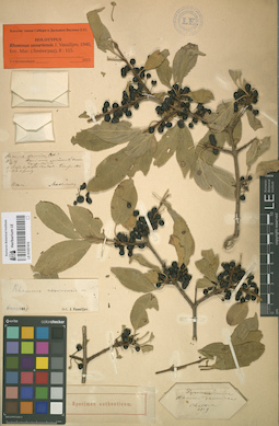 LE 01057410