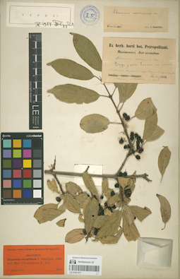 LE 01057411