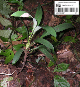 LE 01093087