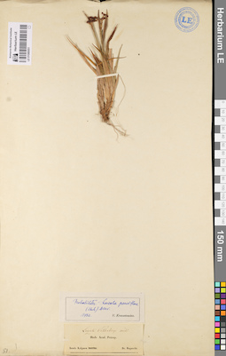 LE 01080051