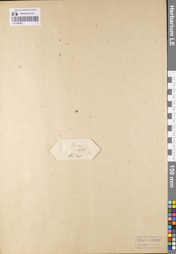 LE 01080053