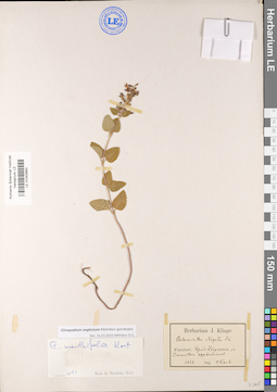 LE 01043660