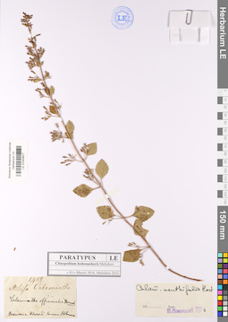 LE 01043677