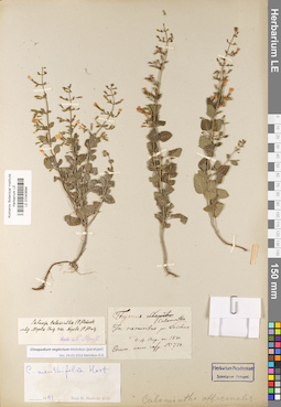 LE 01043694