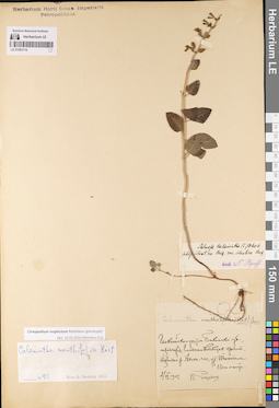 LE 01063116