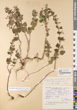 LE 01063119