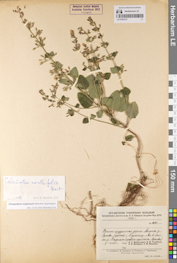 LE 01063127