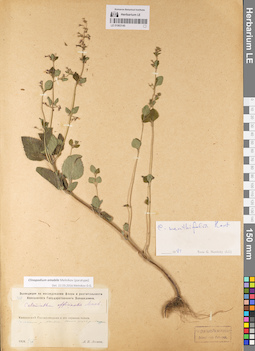 LE 01063145