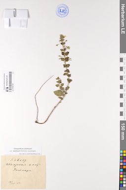 LE 01063146
