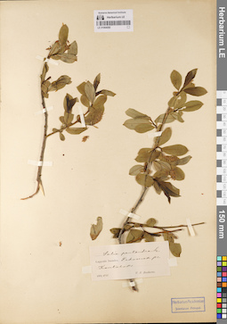 LE 01064080