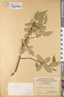 LE 01080136