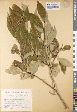LE 01080156