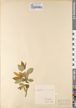 LE 01080157
