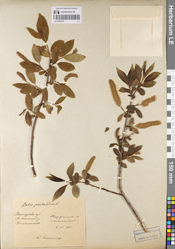 LE 01080167