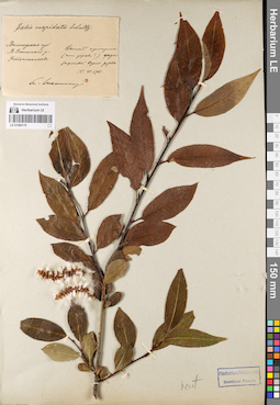 LE 01080170