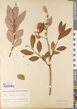 LE 01080172